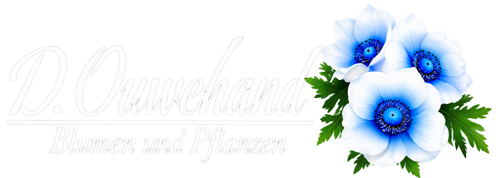 Ouwehand Blumen und Pflanzen